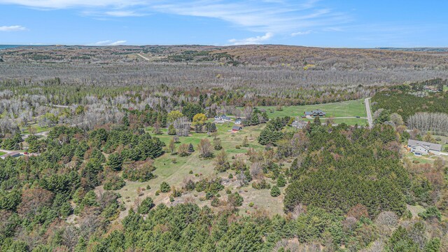 3121 Grace Rd, Frankfort, MI 49635 - aerial view of property's location with a forest