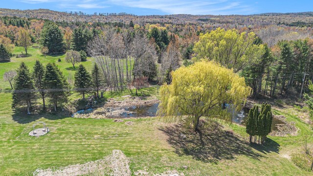 3121 Grace Rd, Frankfort, MI 49635 - aerial view of a heavily wooded area