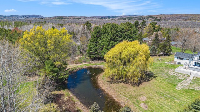 3121 Grace Rd, Frankfort, MI 49635 - view from above of property featuring a heavily wooded area