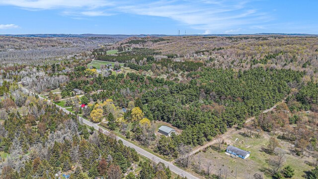 3121 Grace Rd, Frankfort, MI 49635 - aerial overview of property's location with a forest