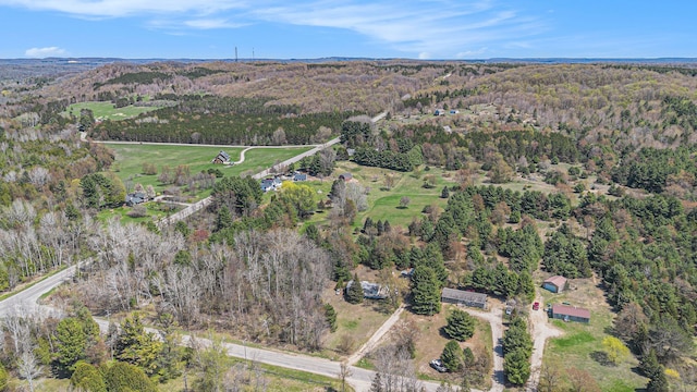 3121 Grace Rd, Frankfort, MI 49635 - view of property location featuring a forest