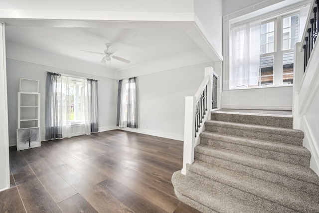 700 W Euclid St, Detroit, MI 48202 - stairs featuring wood finished floors and ceiling fan