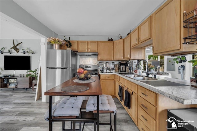 kitchen with a sink, appliances with stainless steel finishes, light brown cabinets, and under cabinet range hood