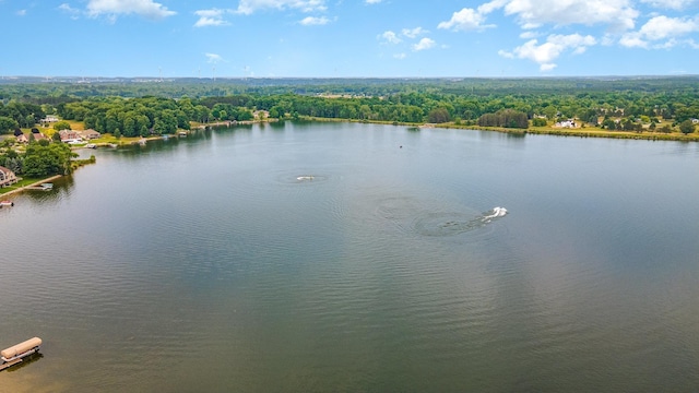 1016 Pyrenees Dr, Lake Isabella, MI 48893