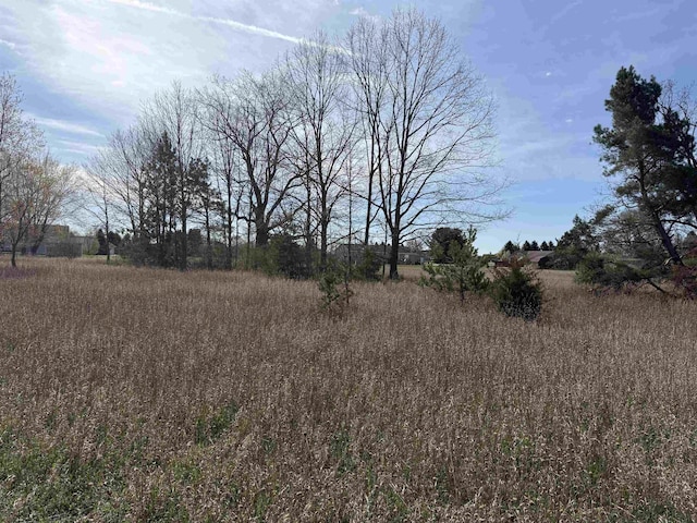 1016 Pyrenees Dr, Lake Isabella, MI 48893