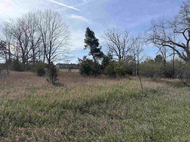 1016 Pyrenees Dr, Lake Isabella, MI 48893