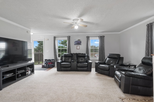 living area featuring a ceiling fan, a textured ceiling, carpet flooring, and ornamental molding