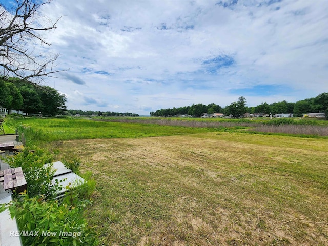 view of yard featuring a rural view