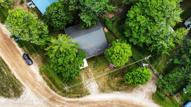 bird's eye view