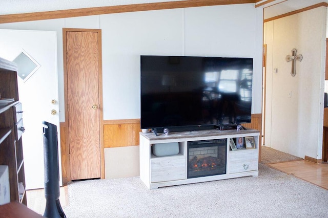 living area with wainscoting and carpet flooring