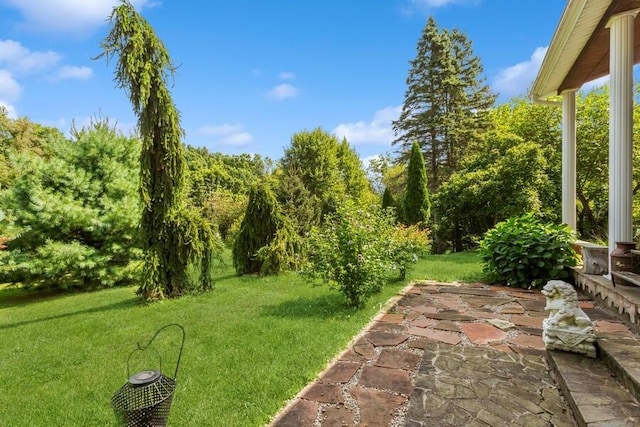 6460 E Galien Buchanan Rd, Buchanan, MI 49107 - view of yard featuring a patio