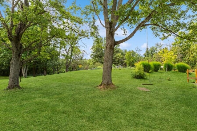 6460 E Galien Buchanan Rd, Buchanan, MI 49107 - view of yard