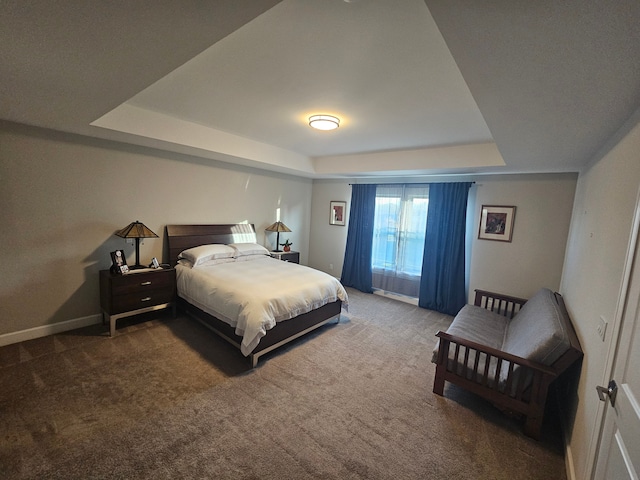 carpeted bedroom featuring a raised ceiling
