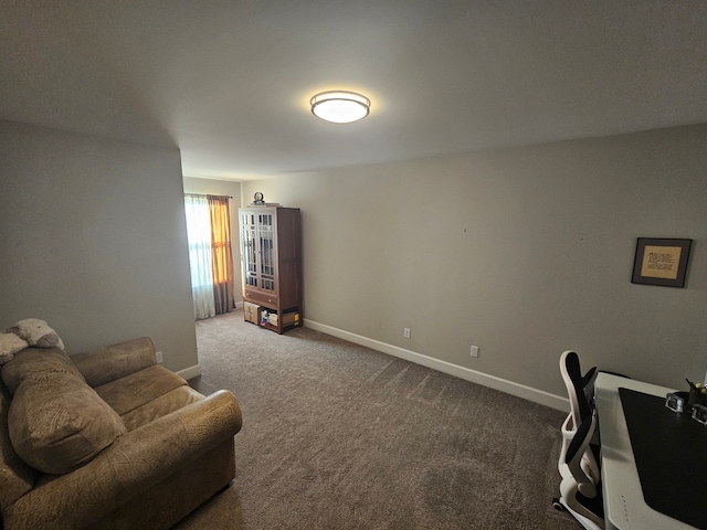 interior space with baseboards and carpet