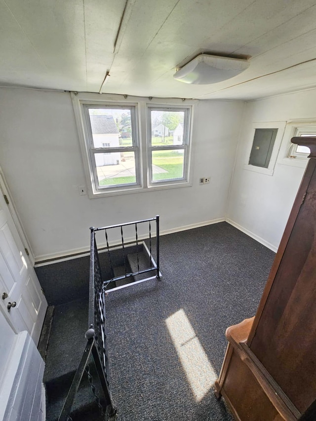 4010 Stolzenfeld Ave, Warren, MI 48091 - interior space featuring carpet, baseboards, and electric panel