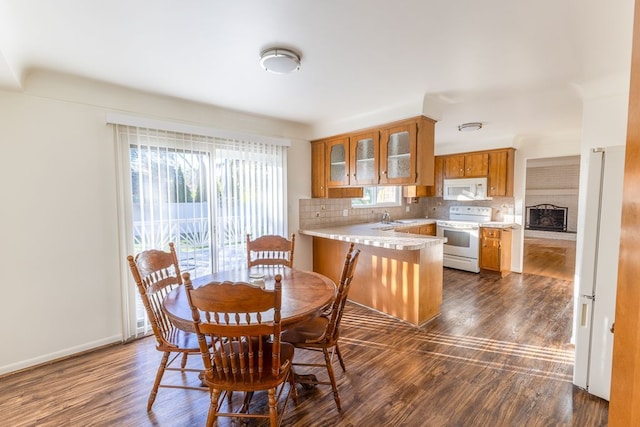 dining room featuring baseboards and dark wood finished floors