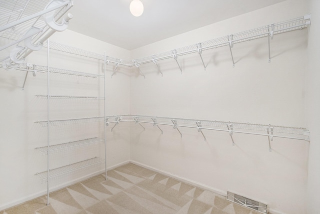 spacious closet with visible vents and carpet floors