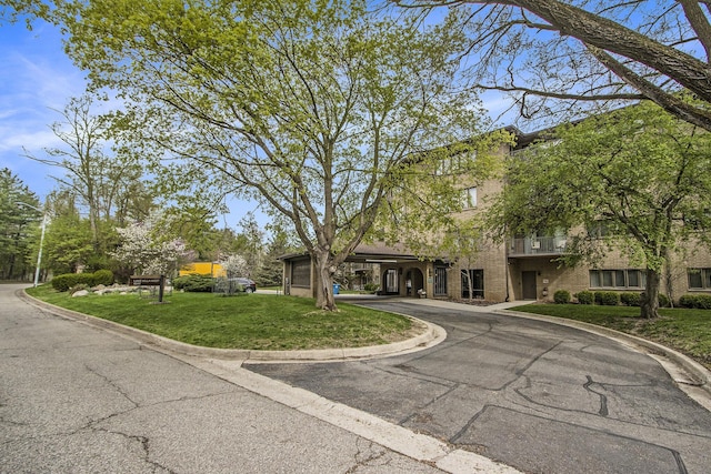 view of front of house with curved driveway and a front yard