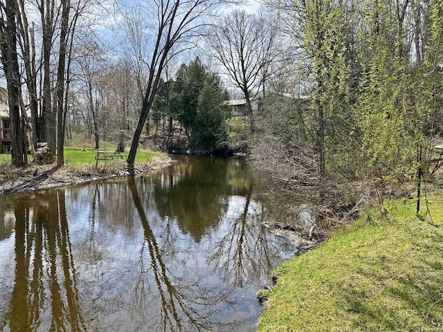 view of water feature