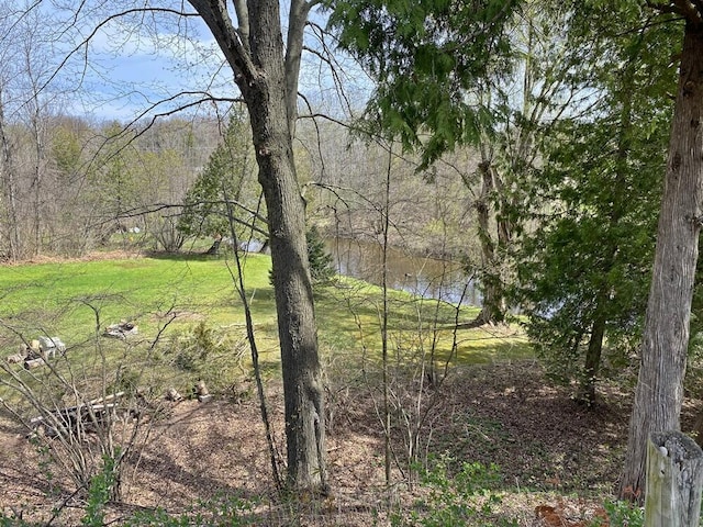exterior space featuring a view of trees