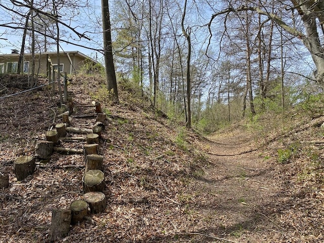 view of local wilderness