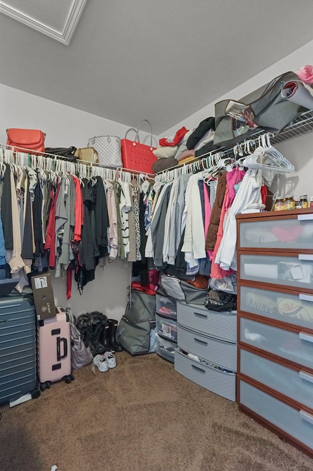 spacious closet with carpet