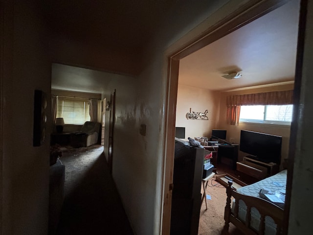 hallway featuring carpet floors