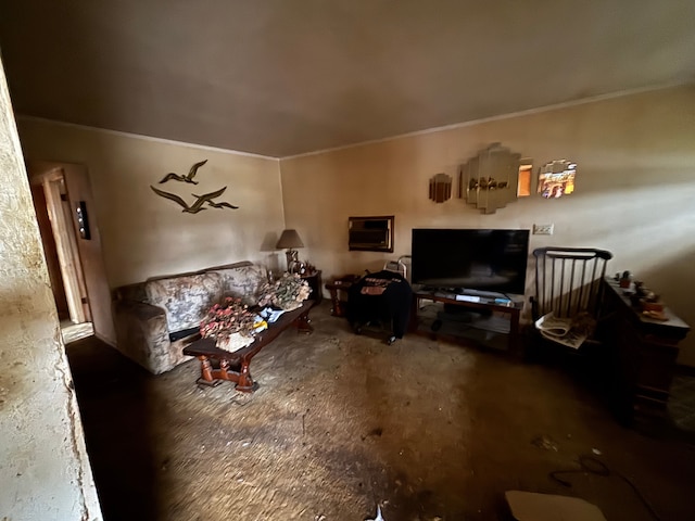 living area with ornamental molding