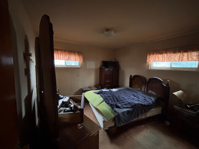 bedroom featuring carpet