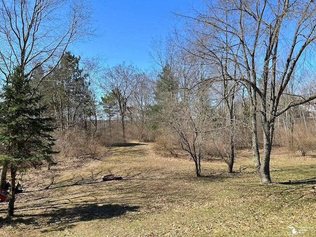 view of nature