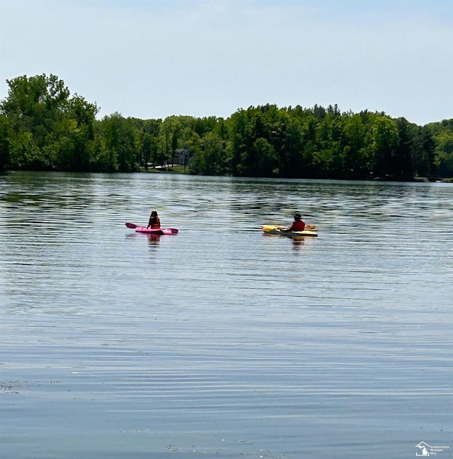 property view of water featuring a wooded view