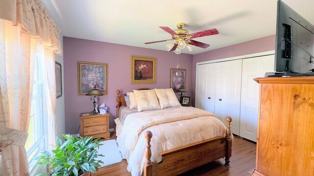bedroom featuring a closet, ceiling fan, and wood finished floors