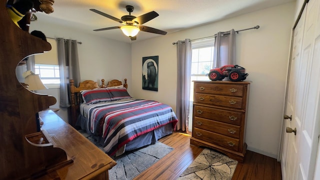 bedroom featuring ceiling fan, multiple windows, and hardwood / wood-style floors