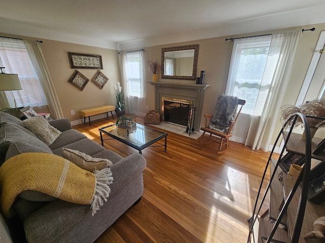 living room with baseboards, wood finished floors, and a high end fireplace