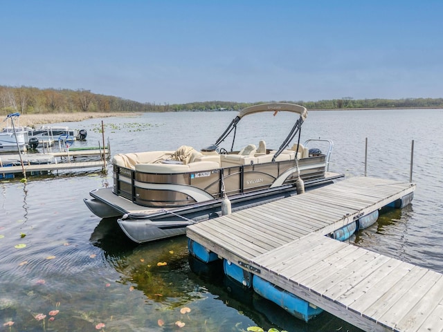 dock area featuring a water view