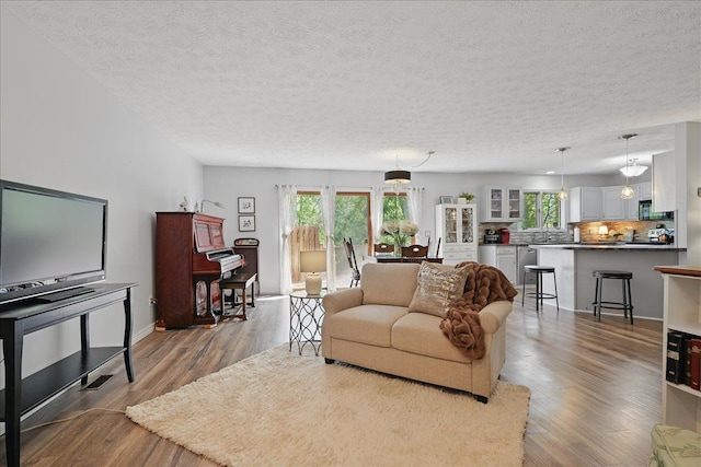 living room featuring a healthy amount of sunlight, a textured ceiling, and wood finished floors