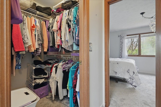 spacious closet with carpet flooring