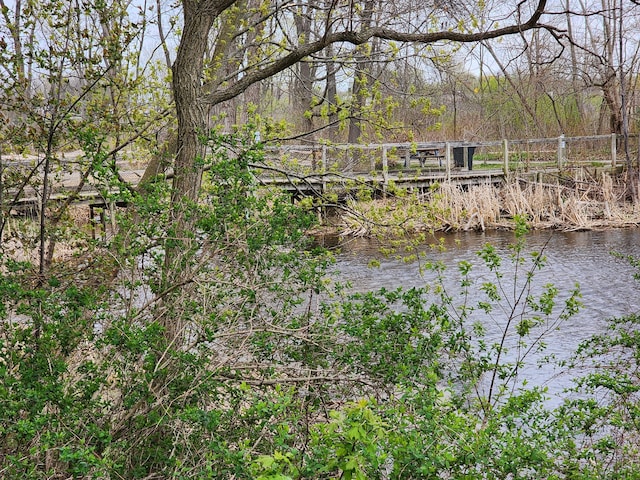 property view of water