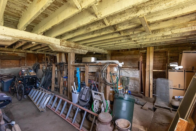 view of basement