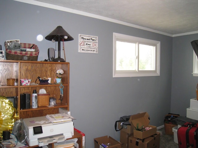 interior space featuring crown molding