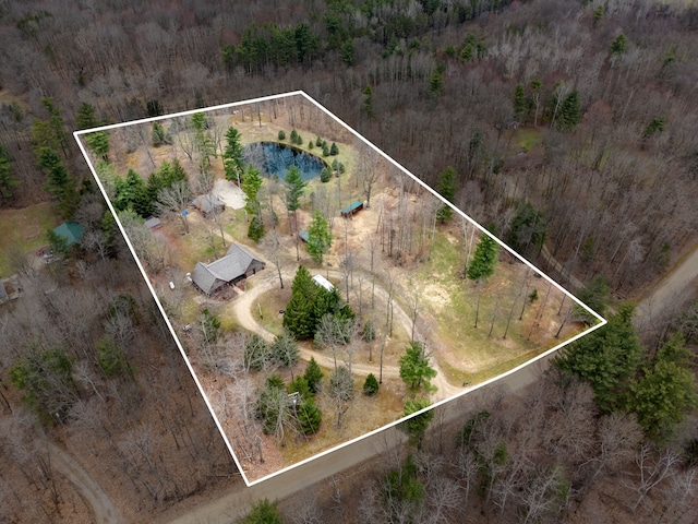 4824 Little Cedar Creek Dr, Attica, MI 48412 - aerial overview of property's location with property parcel outlined and a heavily wooded area