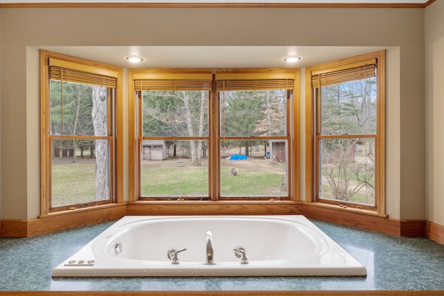 4824 Little Cedar Creek Dr, Attica, MI 48412 - full bath with healthy amount of natural light and a tub with jets