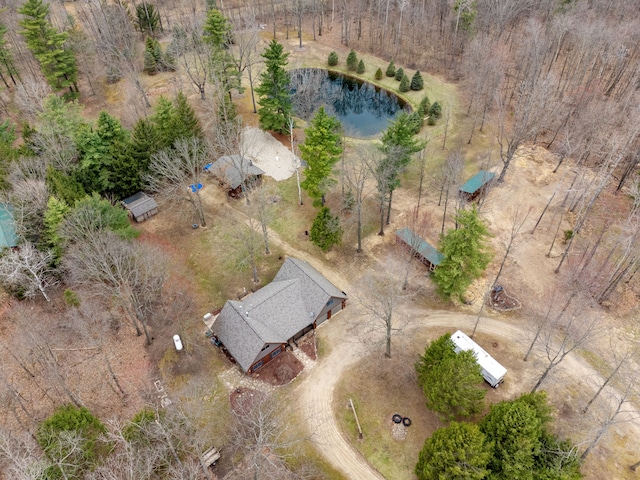 4824 Little Cedar Creek Dr, Attica, MI 48412 - bird's eye view of a large body of water