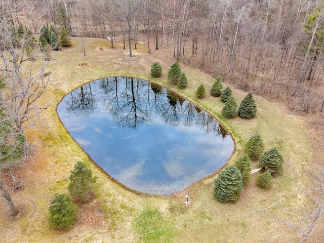 4824 Little Cedar Creek Dr, Attica, MI 48412 - aerial view of a nearby body of water