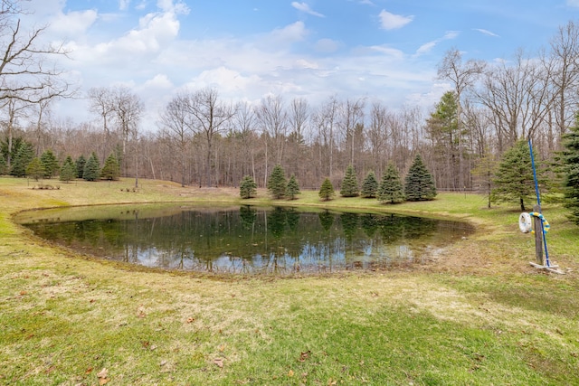 4824 Little Cedar Creek Dr, Attica, MI 48412 - water view featuring a forest