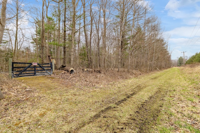 4824 Little Cedar Creek Dr, Attica, MI 48412 - view of yard featuring a gate