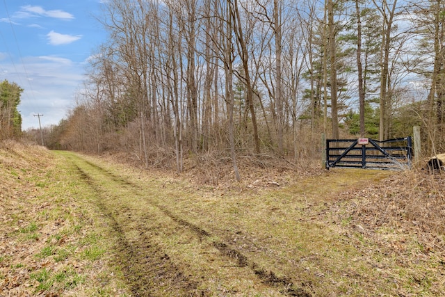 4824 Little Cedar Creek Dr, Attica, MI 48412 - view of yard with a gate