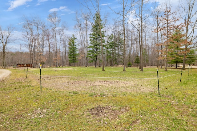 4824 Little Cedar Creek Dr, Attica, MI 48412 - view of green lawn