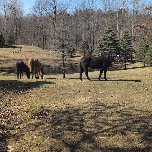 4824 Little Cedar Creek Dr, Attica, MI 48412 - view of nature featuring rural landscape