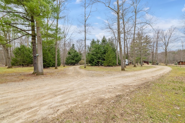 4824 Little Cedar Creek Dr, Attica, MI 48412 - view of street